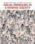 Social Problems in a Diverse Society